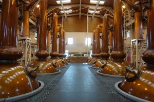 Whisky Artigianato (Distillazione)
